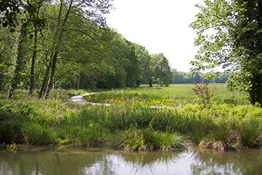 Parc de Noisiel